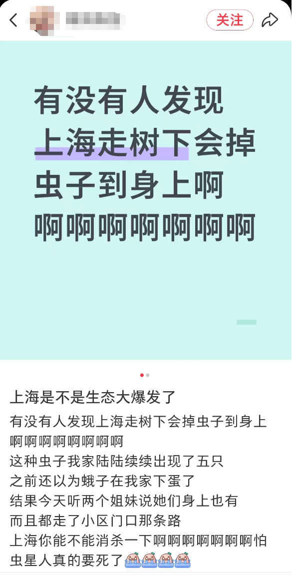 汽车被虫子啃得都是窟窿,“一边咬一边往里钻”!很多人中招