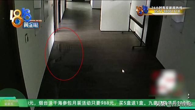 杭州一对婆媳上了趟厕所,竟被起诉索赔3-5万!“怀疑他们在找人背锅……”