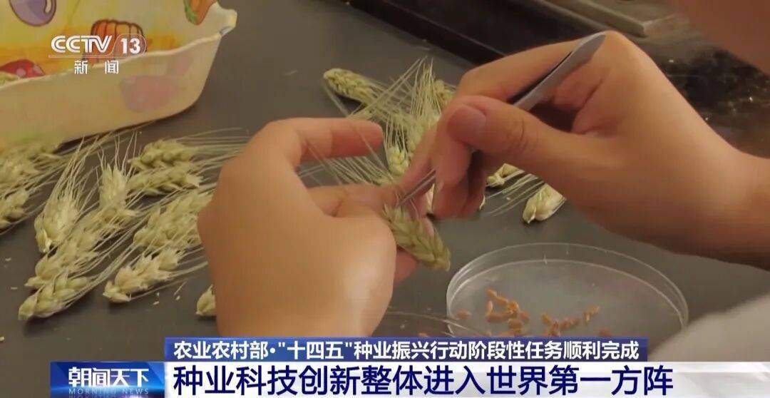 日媒关注:中方愤怒正在升级【看世界·新闻早知道】