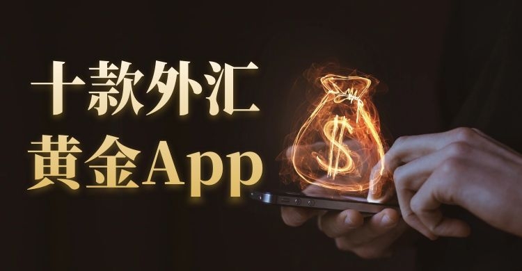正规的炒外汇(正规的炒外汇平台怎样赚钱)