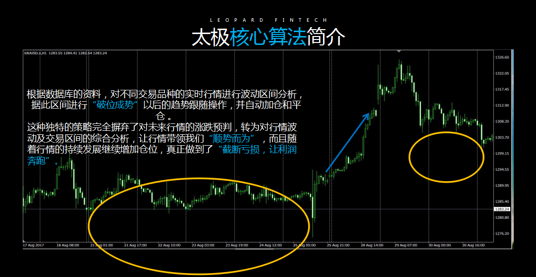 大数据外汇(大数据是什么)