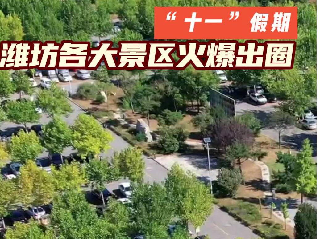青州外汇(青州外汇诈骗)