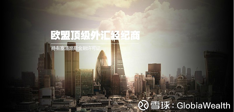 顶级外汇平台(外汇十大外汇平台排名)