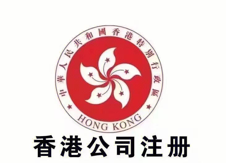 外汇年审(外汇年报如何申报)