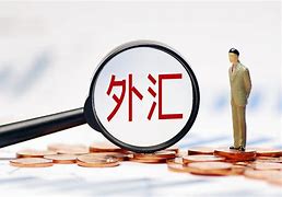 外汇局英文(外汇管理局英文怎么说)