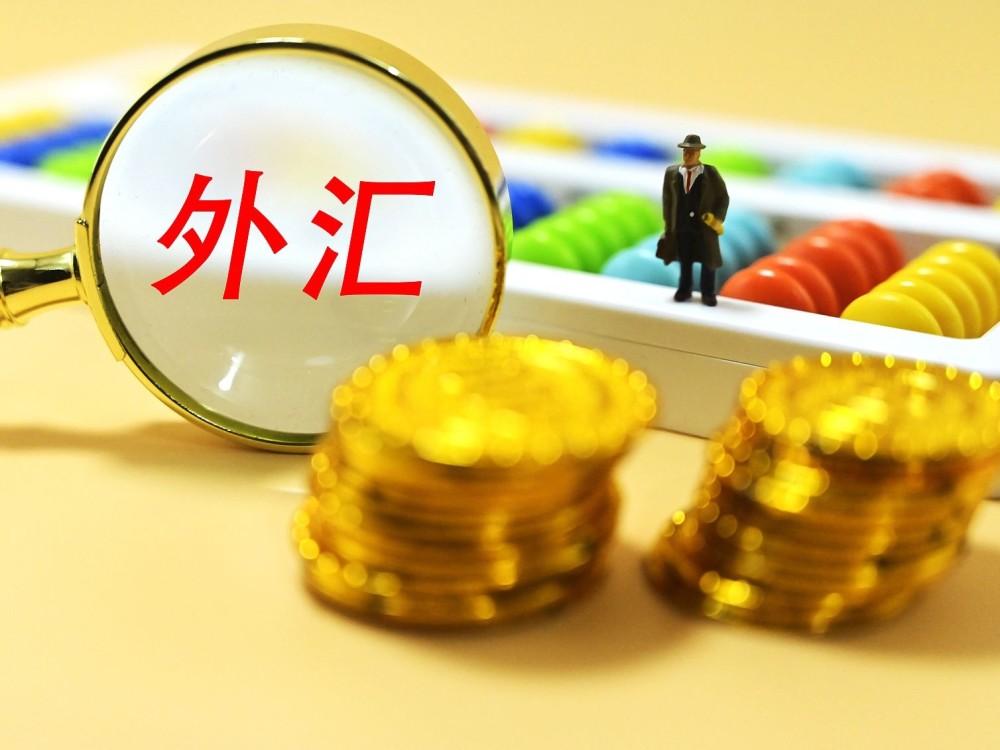 外汇市场功能(外汇市场功能性及必要性)