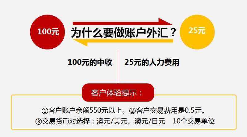 银行账户外汇(账户外汇怎么转账手续费)