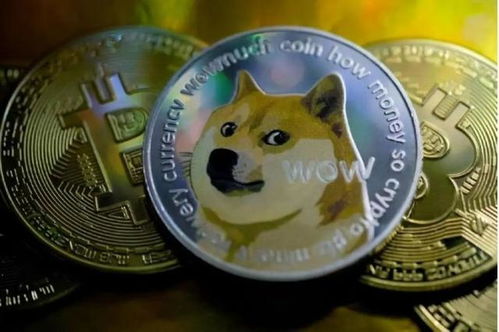 狗狗币暴涨(狗狗币暴涨原因)