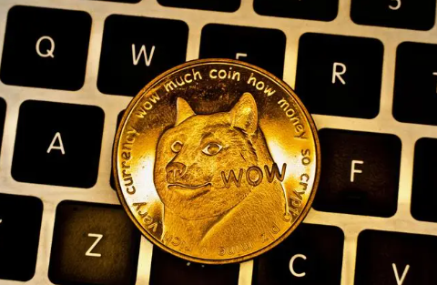 DOGECOIN(dogecoin在哪个交易所)