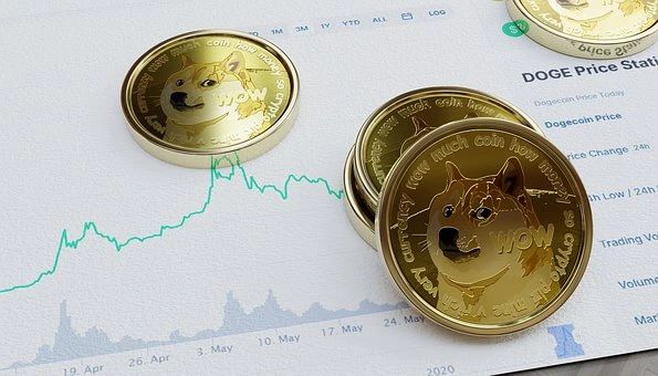 狗币的今日价格(狗币的今日价格火必)