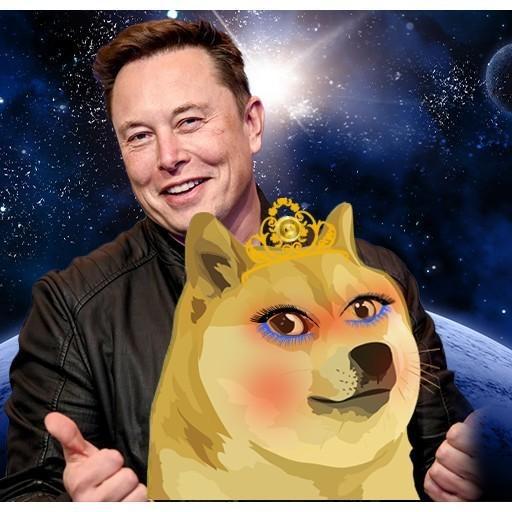 马斯克狗狗币(马斯克狗狗币和柴犬币)