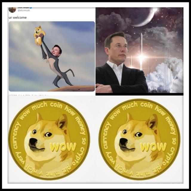 DOGE币(aidoge币)