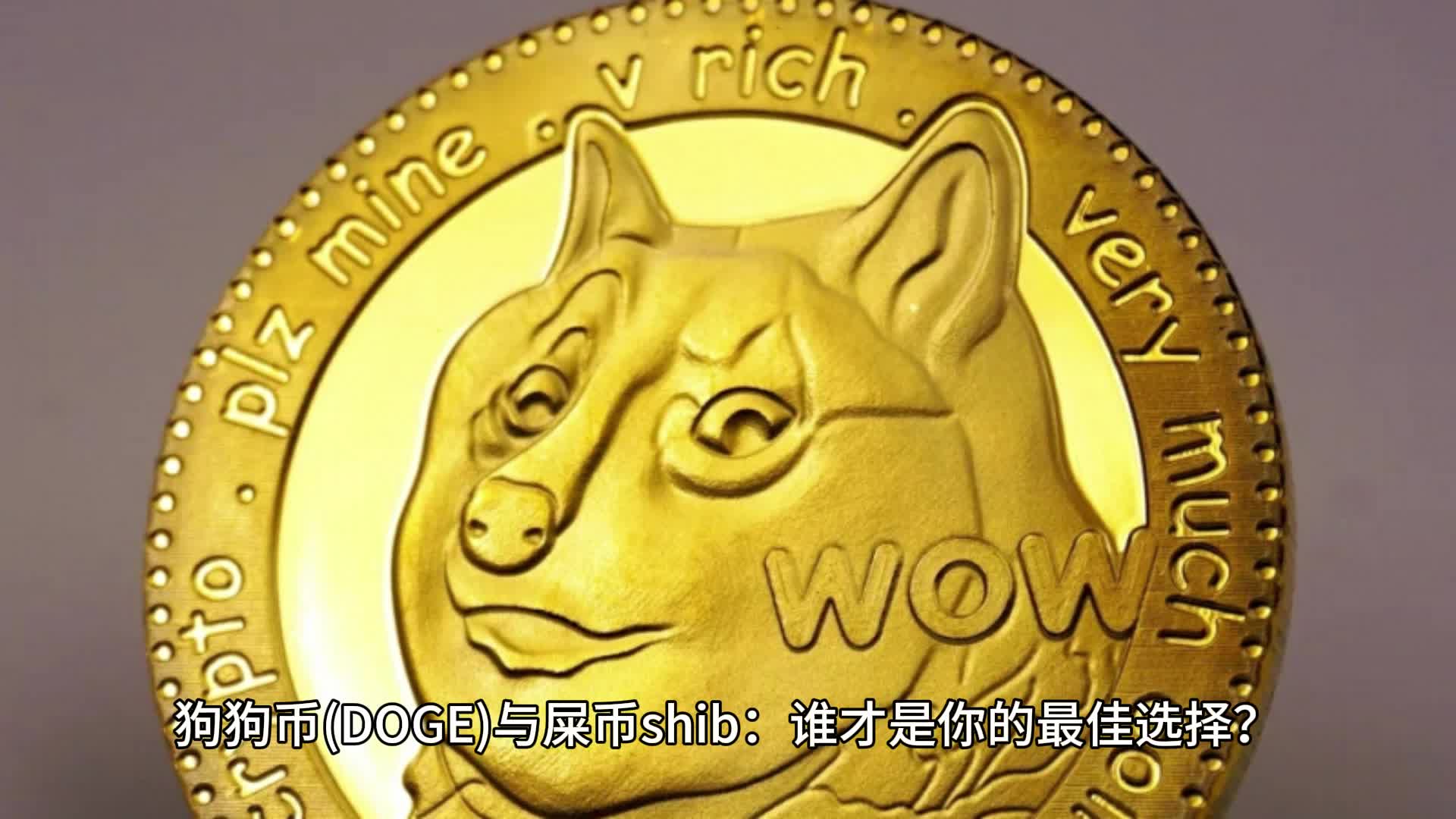 屎币(屎币涨了160万倍多久时间)