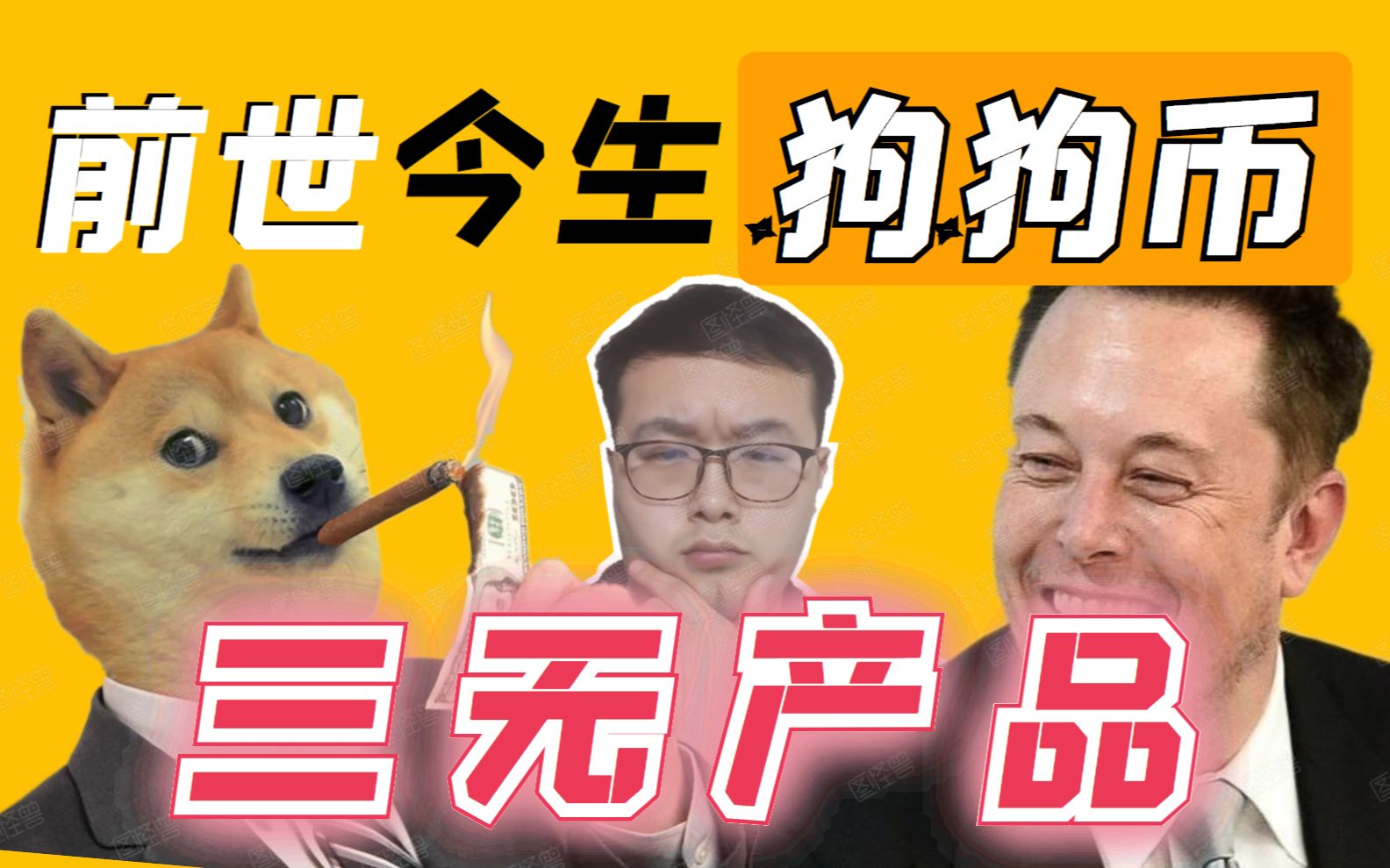 DOGECOIN(dogecoin官网中文版)