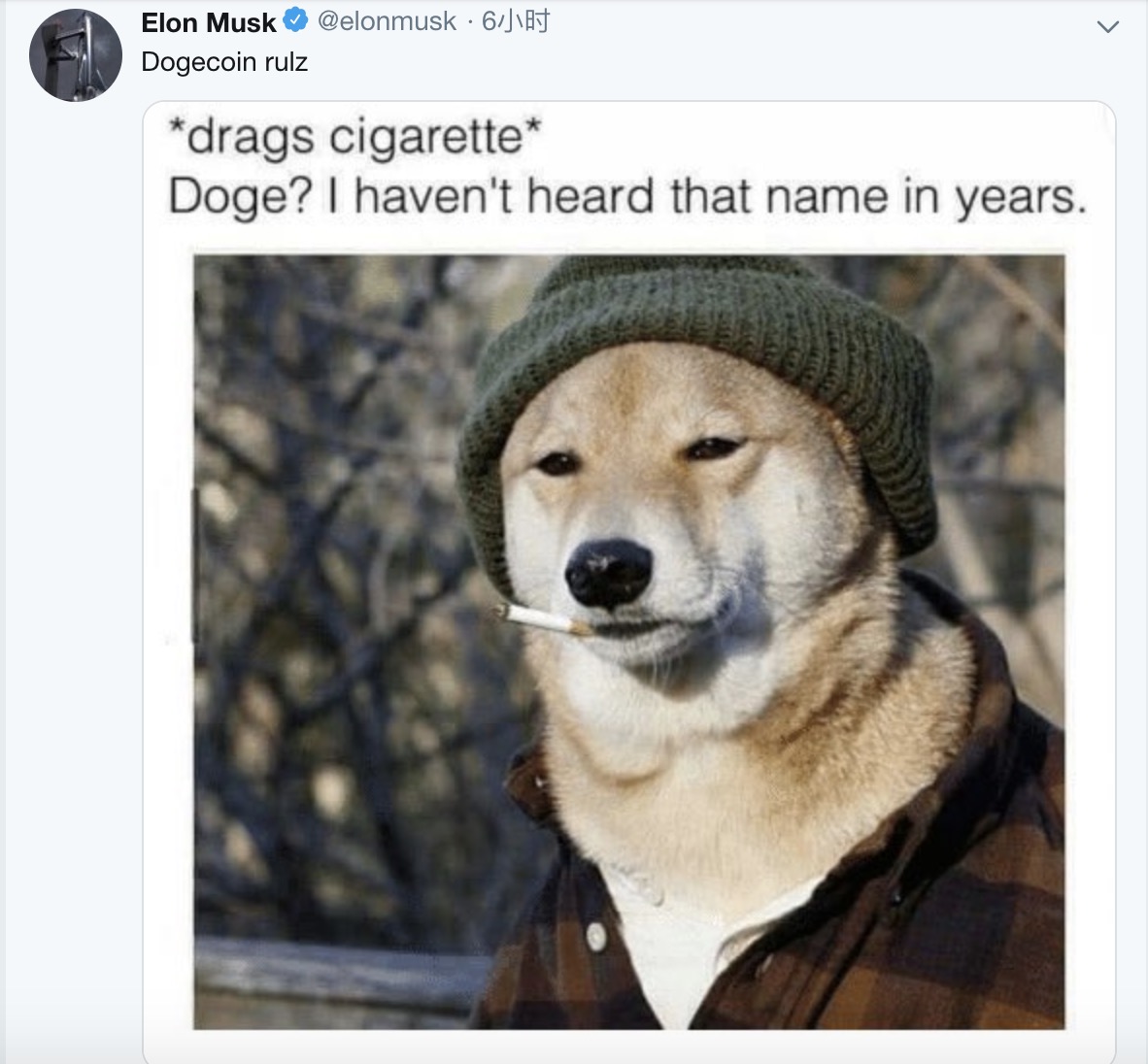 DOGECOIN(dogecoin狗狗币行情)