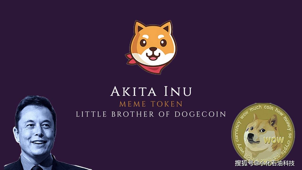 DOGECOIN(dogecoin狗狗币行情)